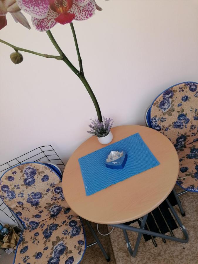 Apartman Nena Nova Varoš Esterno foto